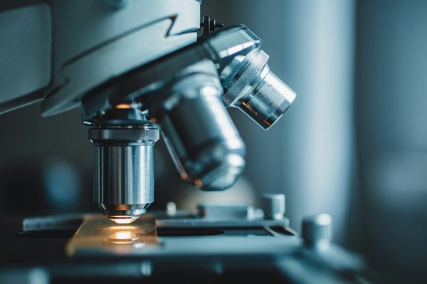 Explorer le monde microscopique avec expert microscope